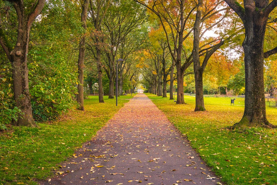 A tranquil urban park scene featuring a narrow, curved waterway with gentle ripples, bordered by a paved walkway on the right side and a grassed area on the left side, covered in green grass with some